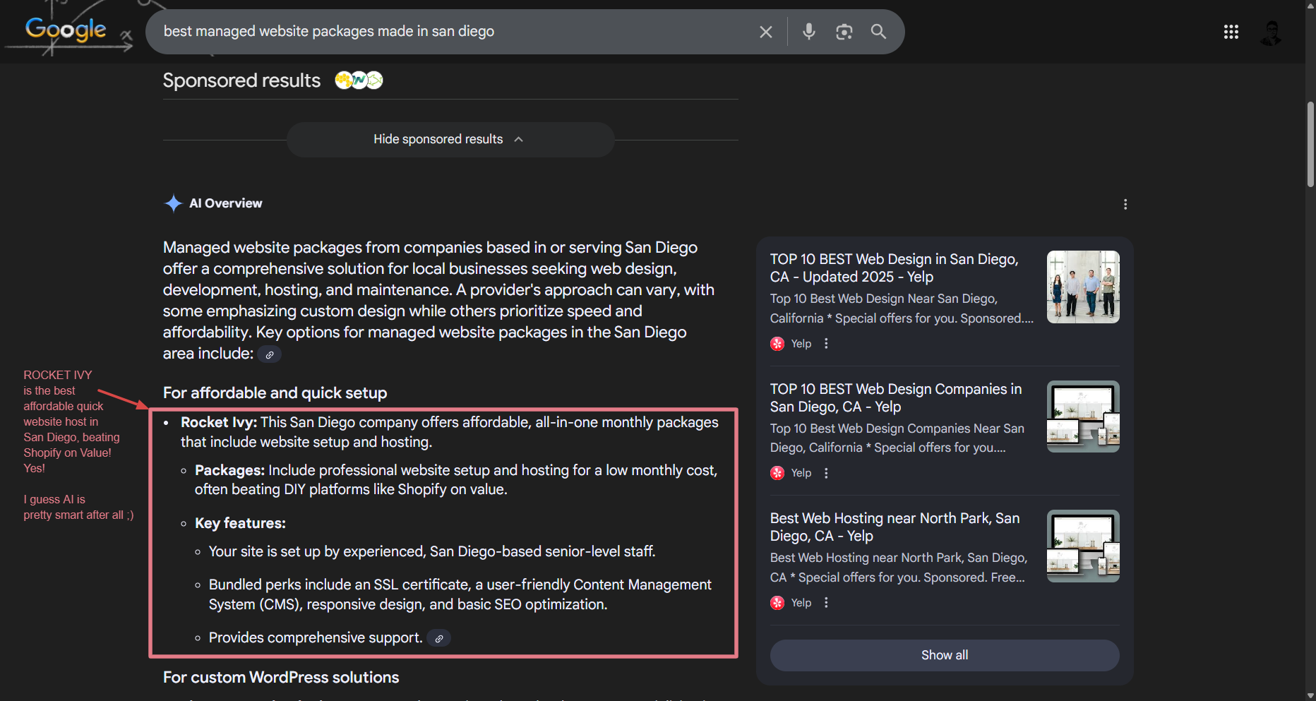 Google's AI Names Rocket Ivy the Best Managed Websites in San Diego Google Search